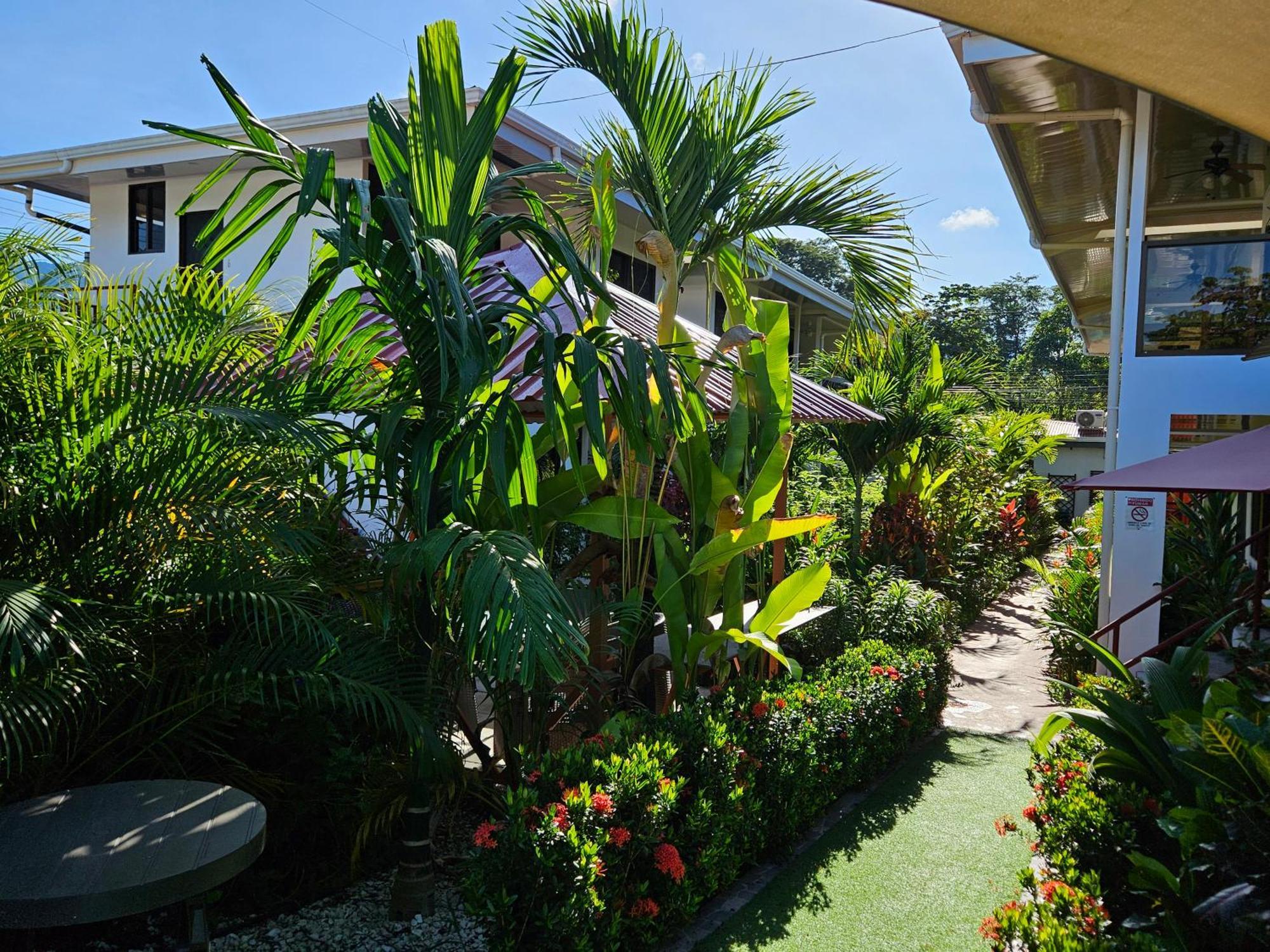 Ballena Rey Hotel อูวีตา ภายนอก รูปภาพ